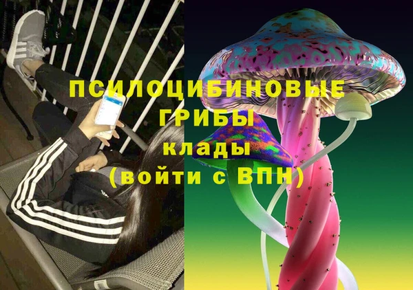 молекула духа Тобольск
