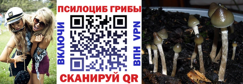 это состав  Белёв  Галлюциногенные грибы Cubensis  где купить наркоту 